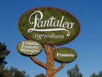 pantaleo